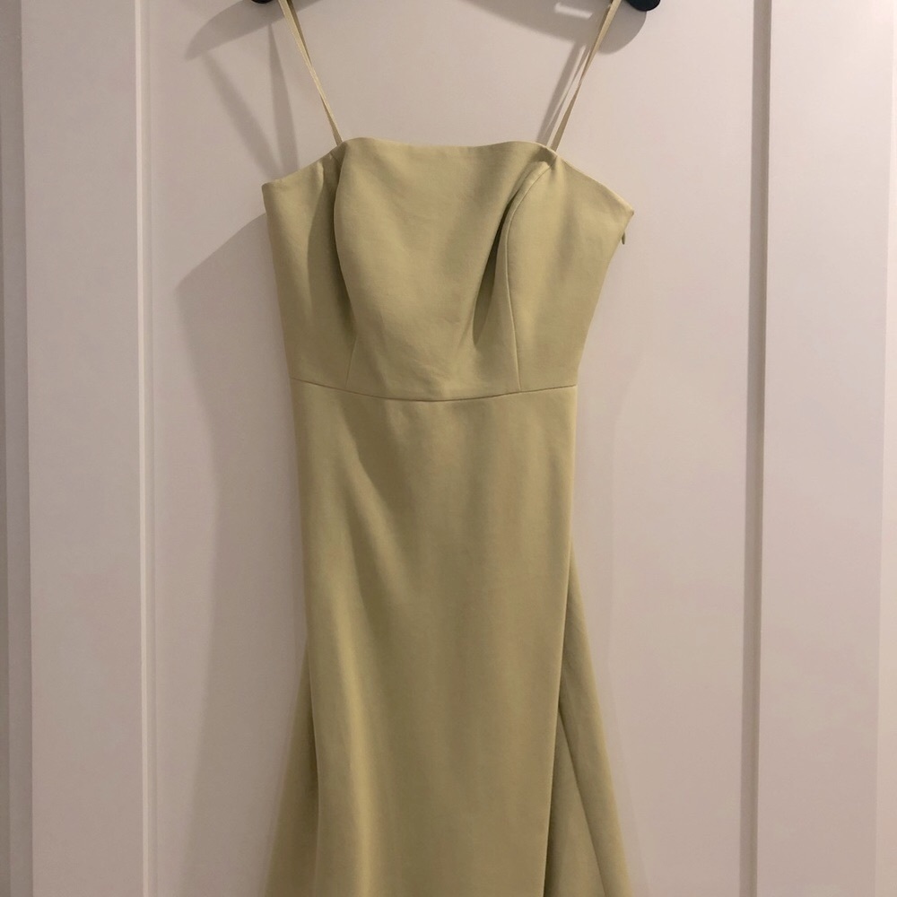 NWOT Ann Taylor Garden Party Dress